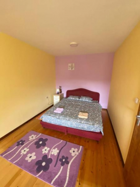 Apartman Mijovic - Nova Varos